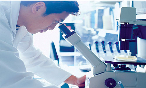 Medical staff looking into microscope